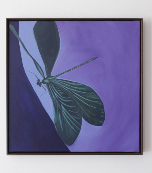 Drekafluga2025 olja på duk 50 x 50 cm&nbsp;